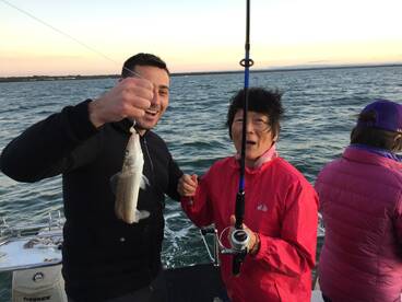 Melbourne Report Photo 2