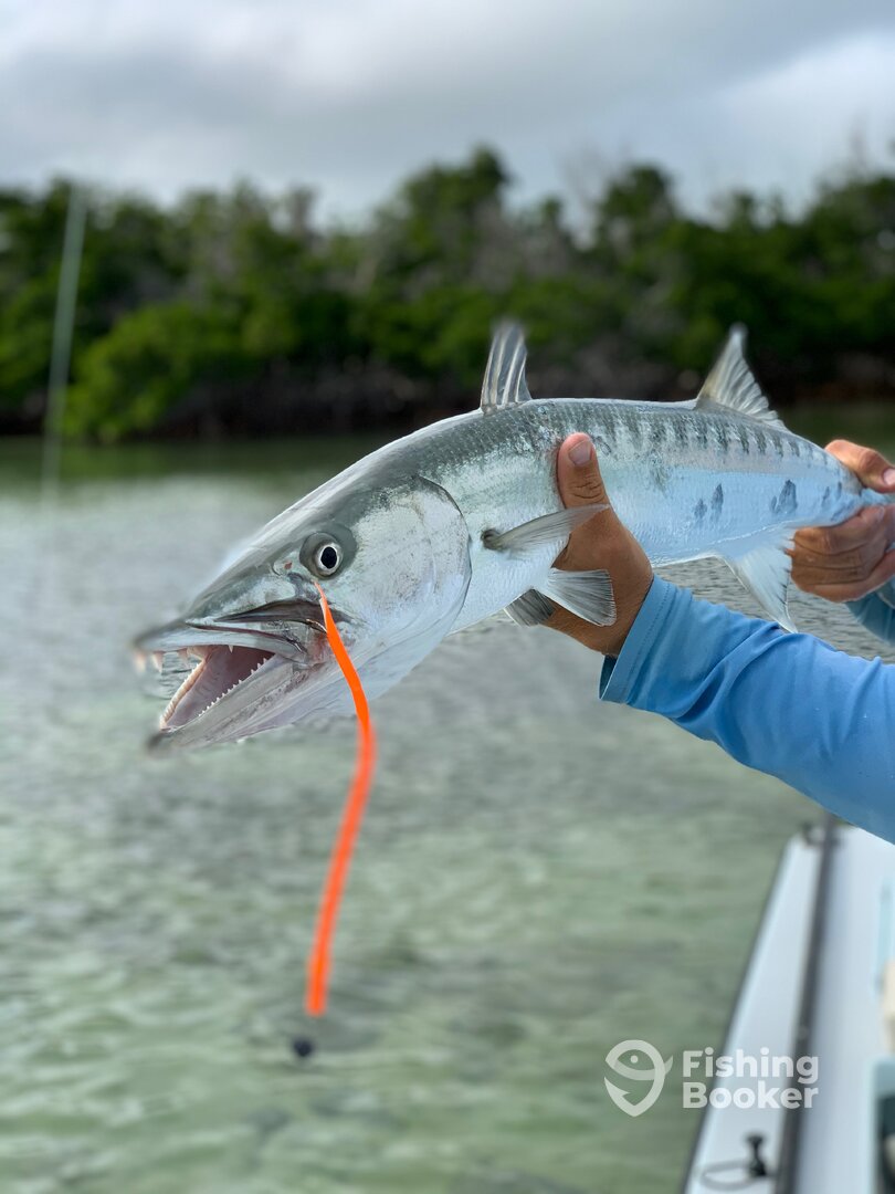 Big Pine Key Report Photo 0