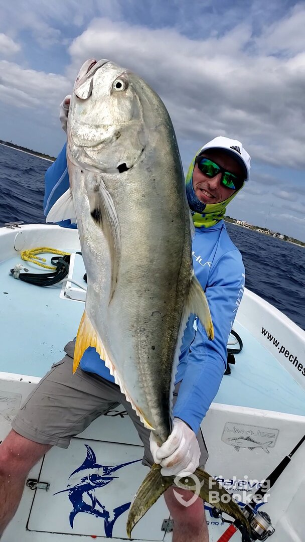 Puerto Aventuras Report Photo 0