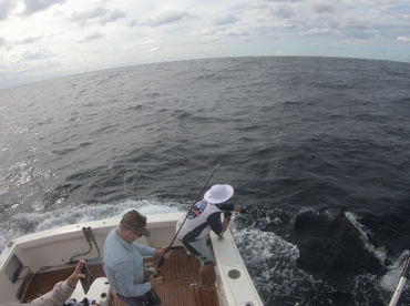 Sydney Report Photo 2