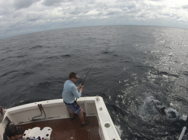 Sydney Report Photo 1