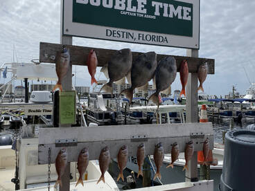 Destin Report Photo 1