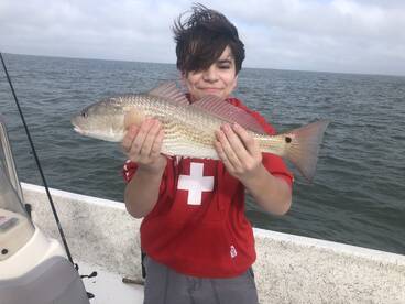 San Leon Report Photo 2