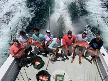 RED SNAPPER OPEN TILL AUG 1ST