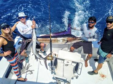 Manzanillo Report Photo 2