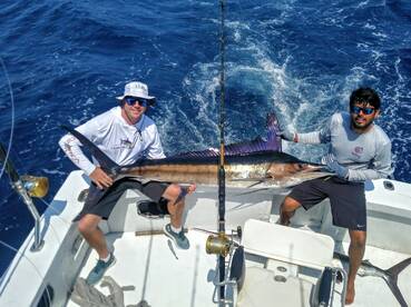 Manzanillo Report Photo 1