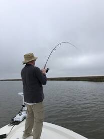 New Orleans Report Photo 1