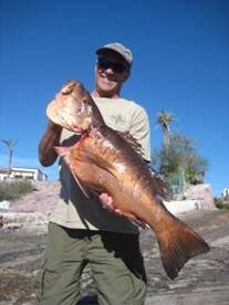 Great fishing in La Paz!!!
