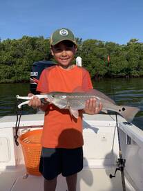 Bradenton Report Photo 2