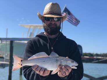 Sarasota Report Photo 1