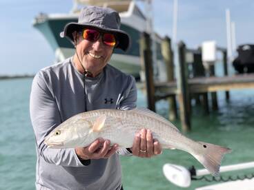 Sarasota Report Photo 2
