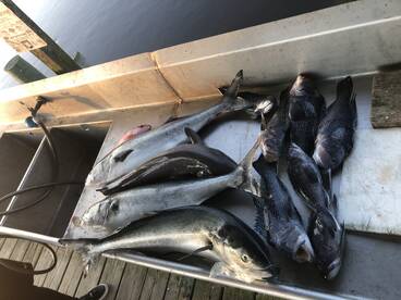 Midway Report Photo 1