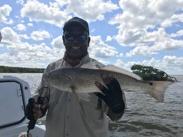 The Everglades National Park is open