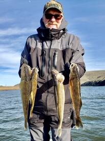 COLUMBIA RIVER AND LYONS FERRY WALLEYE H