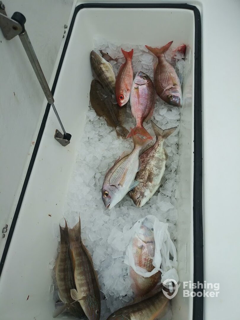 Destin Report Photo 0