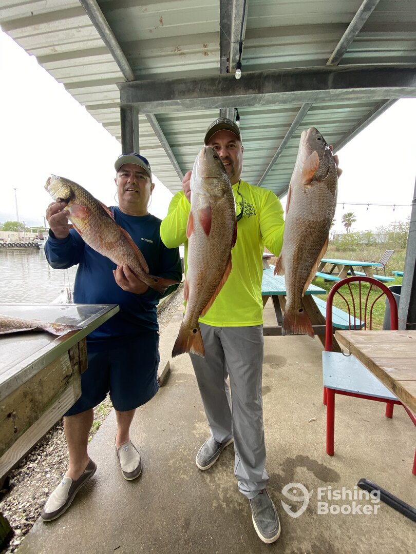 Texas City Report Photo 0