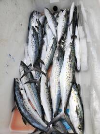 The Spanish are here.