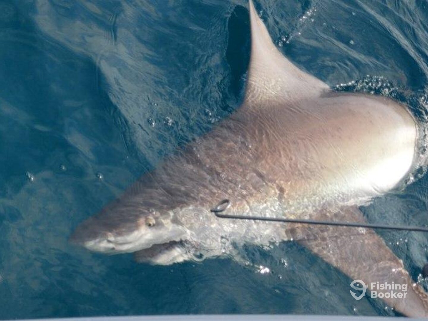 Englewood Report Photo 0