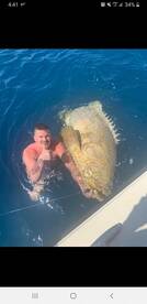 Englewood Report Photo 1