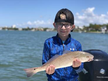 Sarasota Report Photo 1