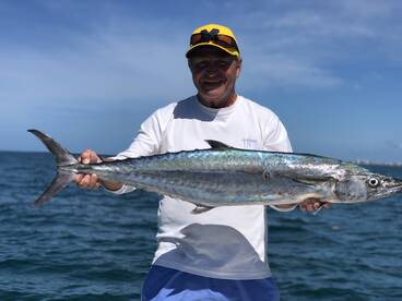 Sarasota Report Photo 2