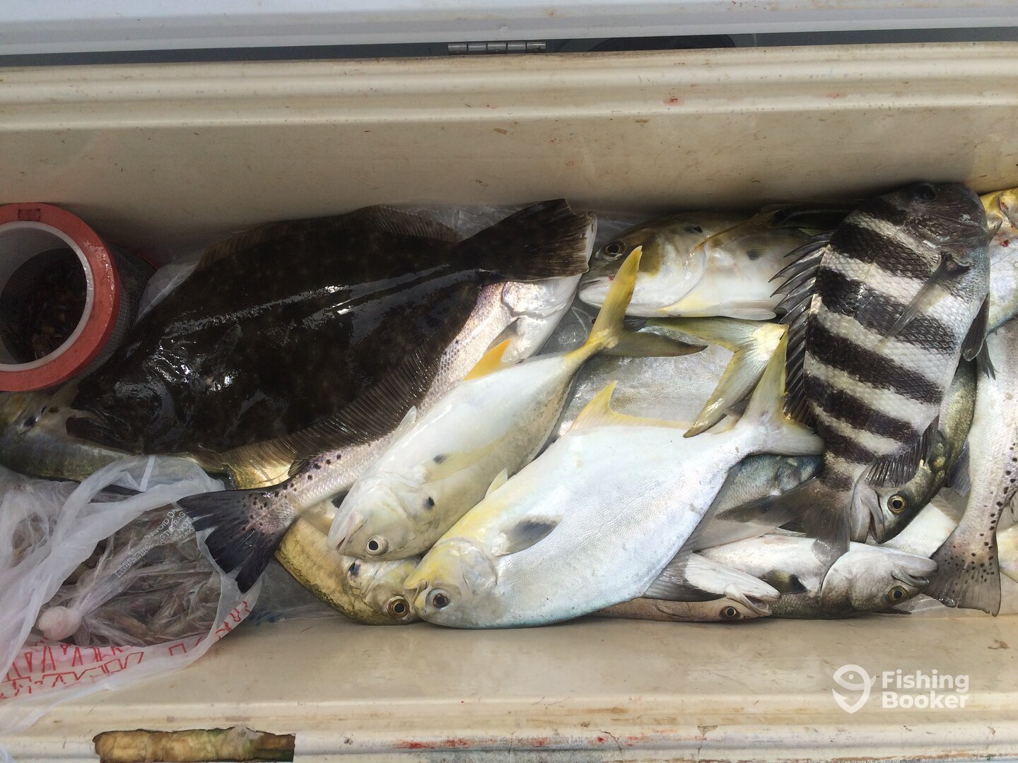 St. Augustine Report Photo 0