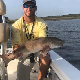 Jacksonville Report Photo 2