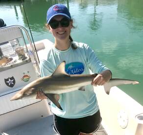 Sarasota Report Photo 2