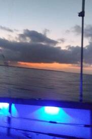 Family trip - Social distancing