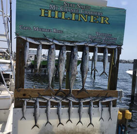 Super Hot Trolling bite right now! 