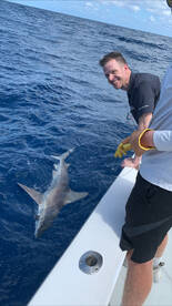 Dania Beach Report Photo 1