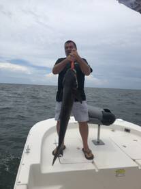 Cobia 