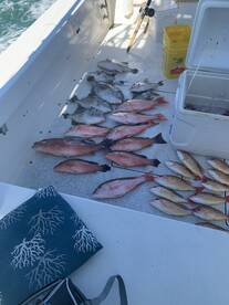 Fort Pierce Report Photo 2