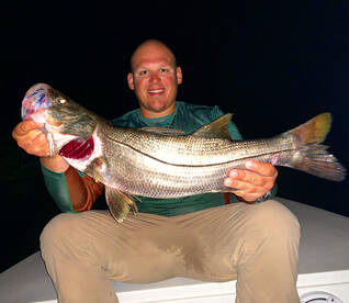 Snook have been on fire 