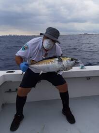 Dania Beach Report Photo 1