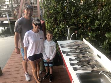 Sarasota Report Photo 2