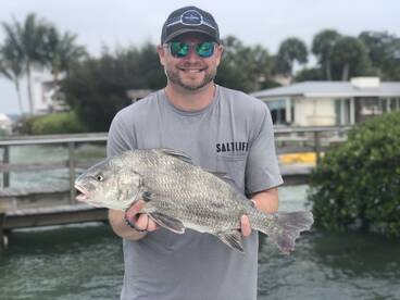 Sarasota Report Photo 1