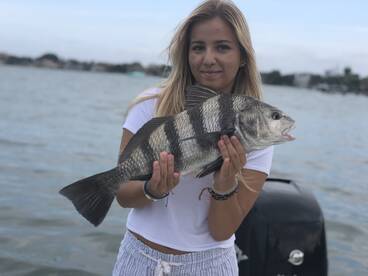 Sarasota Report Photo 1
