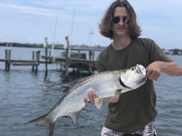 Sarasota Report Photo 2