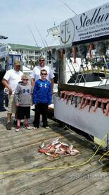 Plenty for dinner!