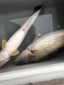 Fishing is back  and hot.