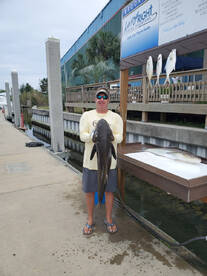 Destin Report Photo 2
