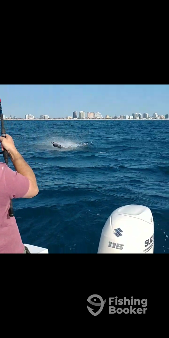 Fort Lauderdale Report Photo 0