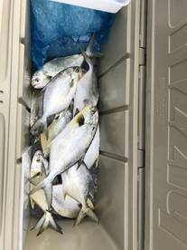 Beaches open up May 1 book your trip now