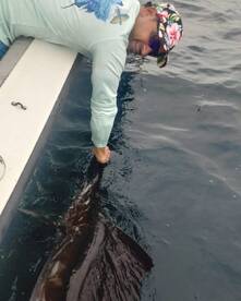 Pompano Beach Report Photo 2