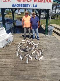 Sulphur Report Photo 2