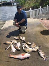 Sulphur Report Photo 1