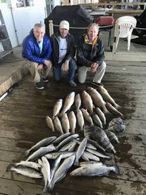 Venice Report Photo 2