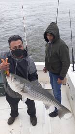 Striper fishing on schedule