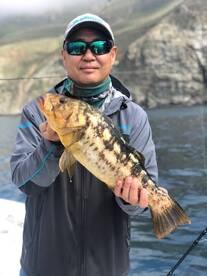 Catalina fishing is EXCELLENT!